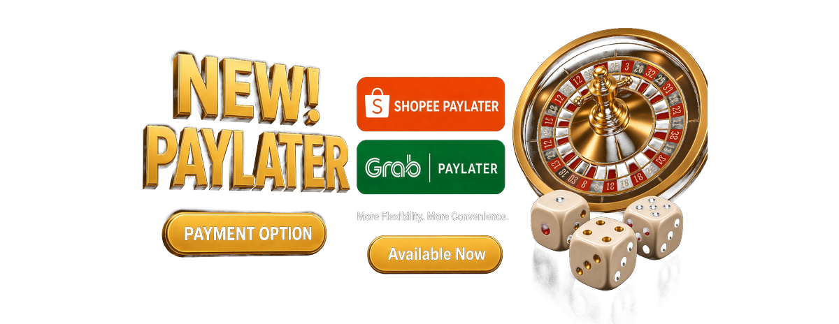 Paylater EN SLIDER