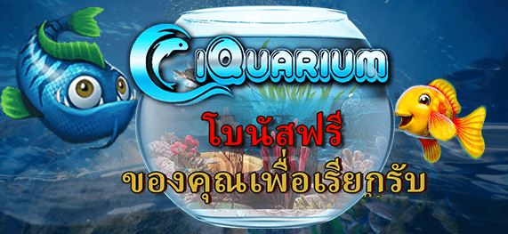 infiniwin iquarium